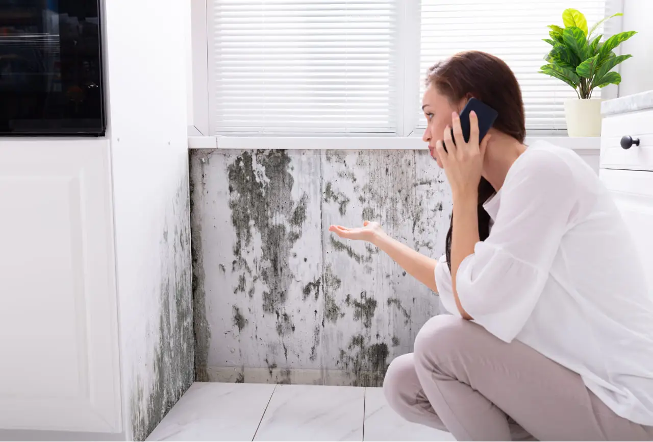 Moisissure causée par la dégradation des gouttières